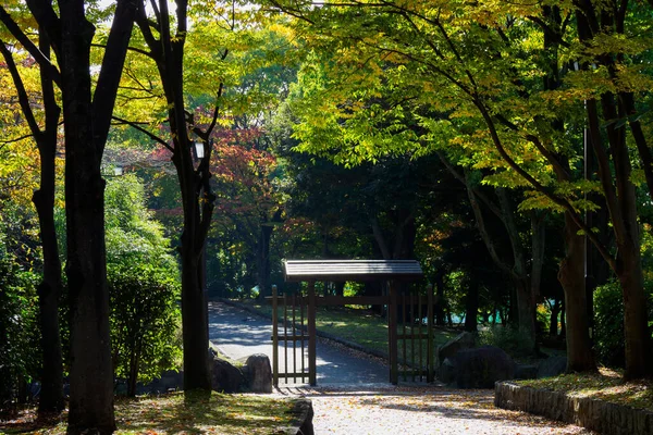 東京秋の紅葉風景 — ストック写真