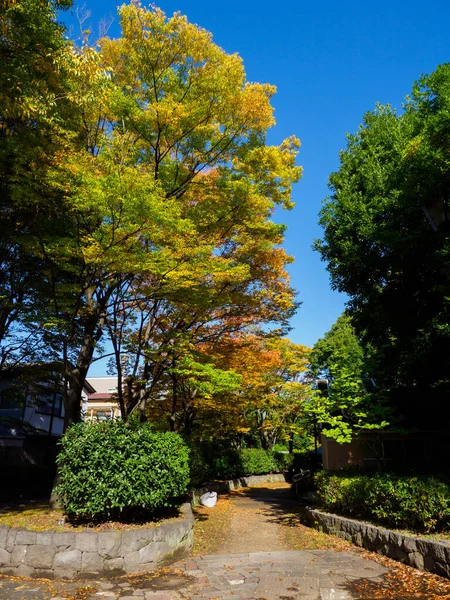 東京秋の紅葉風景 — ストック写真