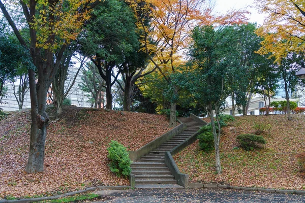 Tóquio Folhas Outono Paisagem — Fotografia de Stock