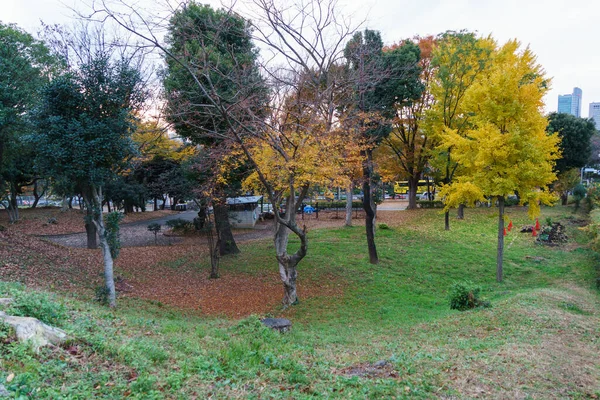 Tokyo Autumn Leaves Landscape — Stock Photo, Image