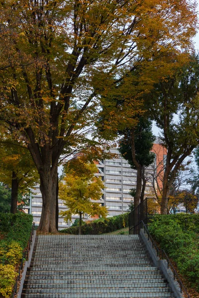 Tokyo Sonbahar Yaprakları Peyzaj — Stok fotoğraf