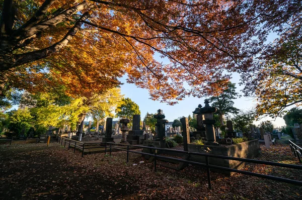 Tokyo Sonbahar Yaprakları Peyzaj — Stok fotoğraf