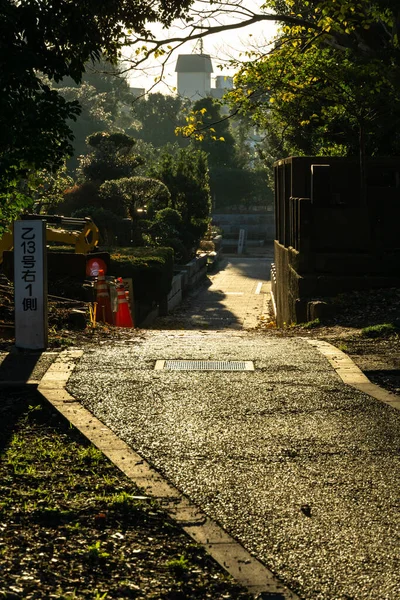 Tokio Hojas Otoño Paisaje — Foto de Stock