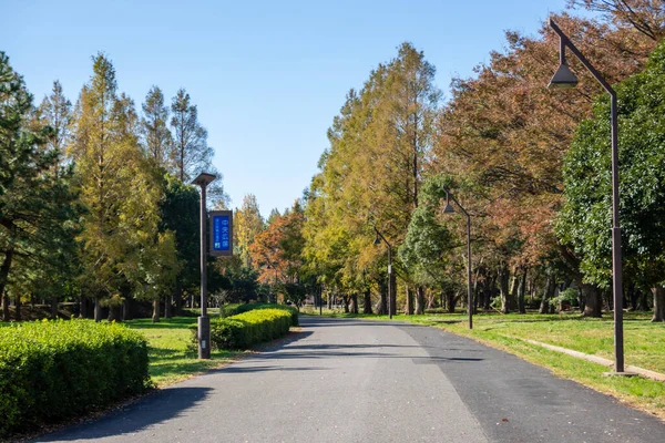 Tokio Hojas Otoño Paisaje —  Fotos de Stock