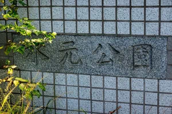 Tokyo Höst Lämnar Landskap — Stockfoto