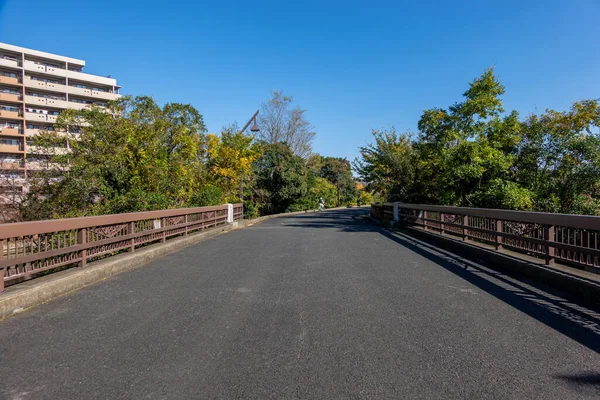 Tokyo Autunno Lascia Paesaggio — Foto Stock