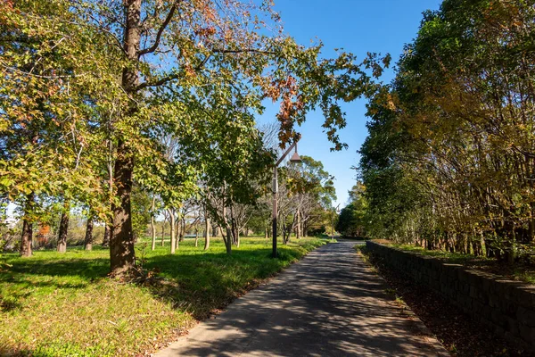 Tokios Herbst Hinterlässt Landschaft — Stockfoto