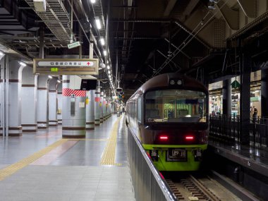 Japon Demiryolu Peyzaj Günü