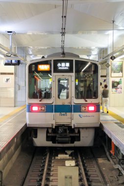 Japon Demiryolu Peyzaj Günü