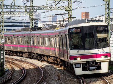 Japon Demiryolu Peyzaj Günü