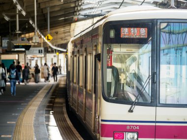 Japon Demiryolu Peyzaj Günü