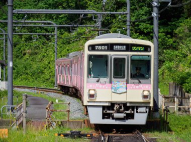 Japon Demiryolu Peyzaj Günü
