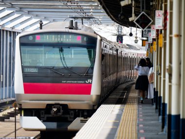 Japon Demiryolu Peyzaj Günü