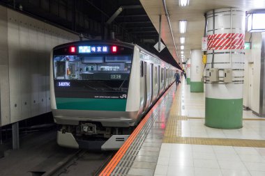 Japon Demiryolu Peyzaj Günü