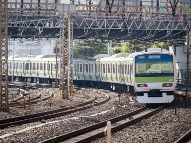Japon Demiryolu Peyzaj Günü