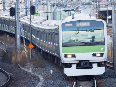Japon Demiryolu Peyzaj Günü