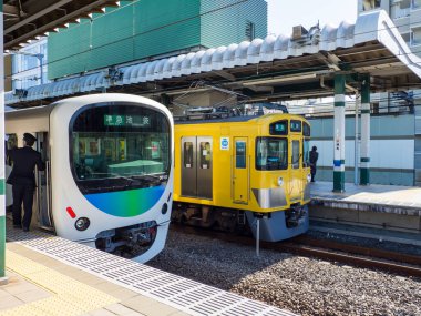 Japon Demiryolu Peyzaj Günü