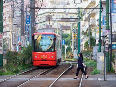 Japon Demiryolu Peyzaj Günü