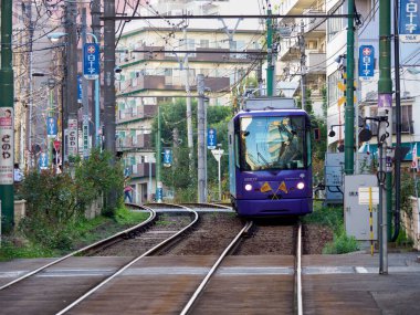 Japon Demiryolu Peyzaj Günü