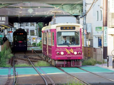 Japon Demiryolu Peyzaj Günü