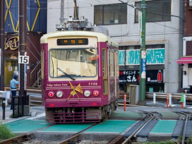 Japon Demiryolu Peyzaj Günü