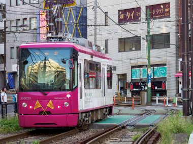 Japon Demiryolu Peyzaj Günü