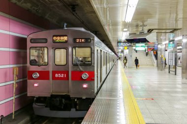 Japon Demiryolu Peyzaj Günü