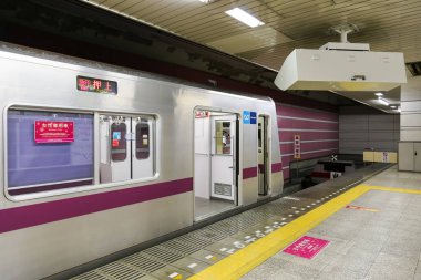 Japon Demiryolu Peyzaj Günü