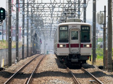 Japon Demiryolu Peyzaj Günü