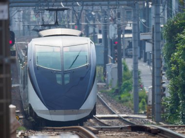 Japon Demiryolu Peyzaj Günü