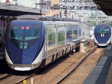 Japon Demiryolu Peyzaj Günü