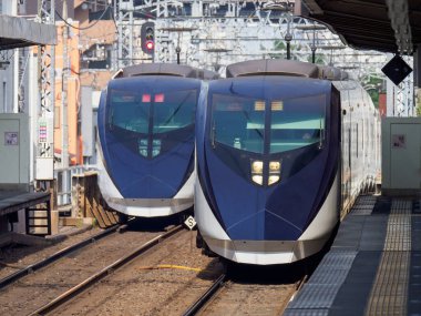 Japon Demiryolu Peyzaj Günü