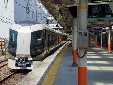 Japon Demiryolu Peyzaj Günü