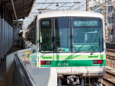 Japon Demiryolu Peyzaj Günü