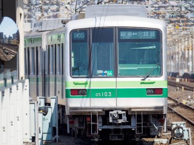 Japon Demiryolu Peyzaj Günü