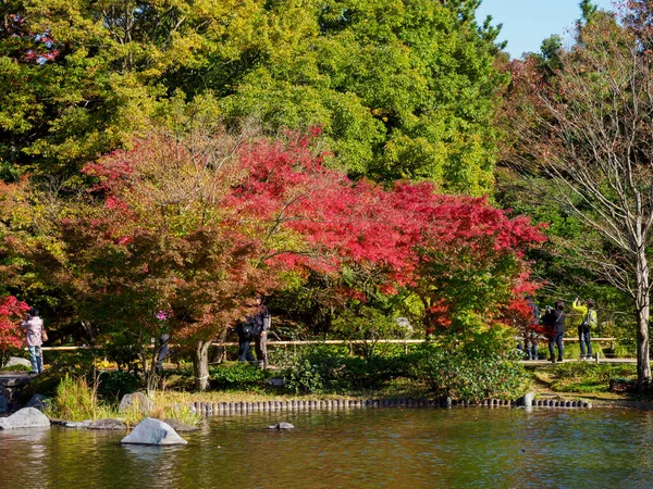 Tokios Herbst Hinterlässt Landschaft — Stockfoto