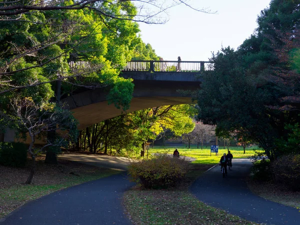 Tokyo Φθινόπωρο Φύλλα Τοπίο — Φωτογραφία Αρχείου