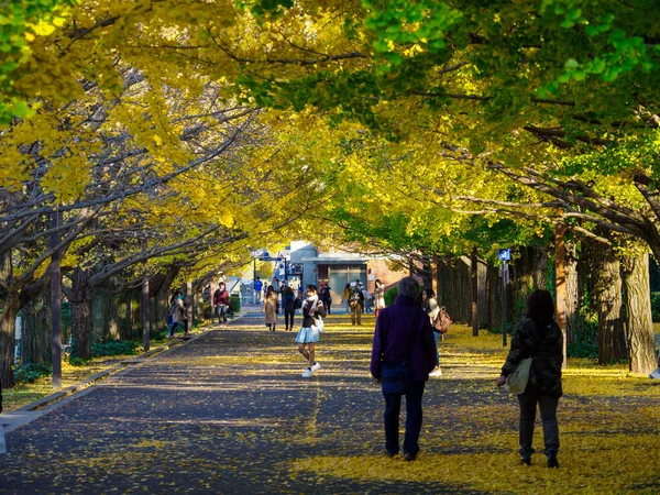 Tokyo Feuilles Automne Paysage — Photo