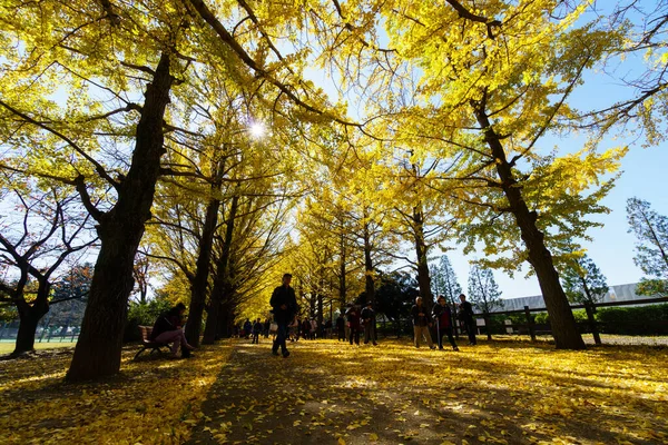 Tokios Herbst Hinterlässt Landschaft — Stockfoto