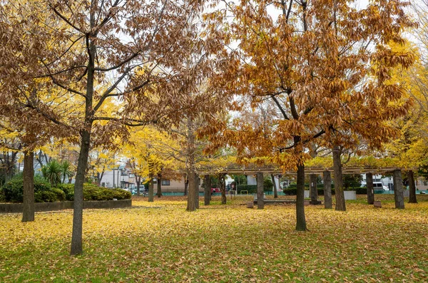 Tokios Herbst Hinterlässt Landschaft — Stockfoto