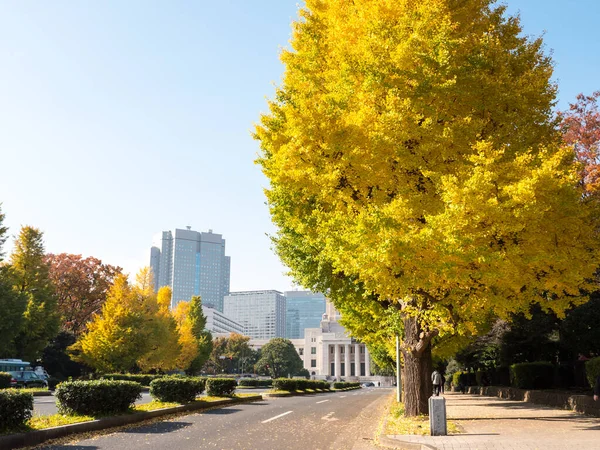 Tokyo sonbahar yaprakları peyzaj