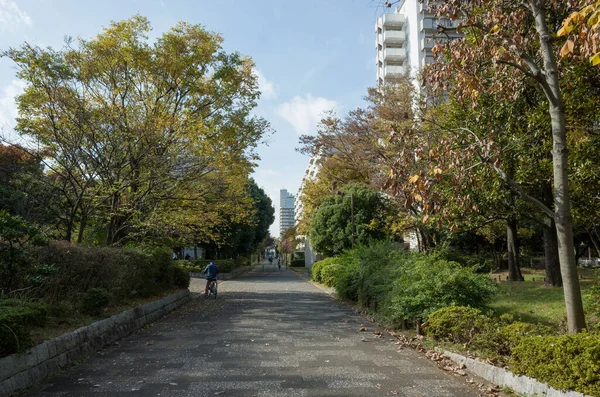 Tokio Hojas Otoño Paisaje — Foto de Stock