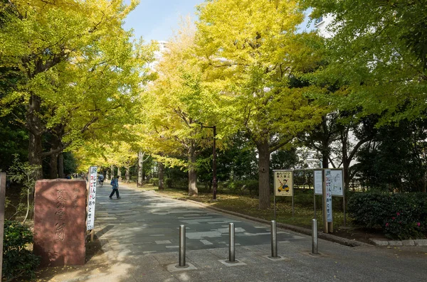 Tóquio Folhas Outono Paisagem — Fotografia de Stock