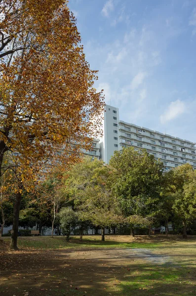 Tokyo sonbahar yaprakları peyzaj