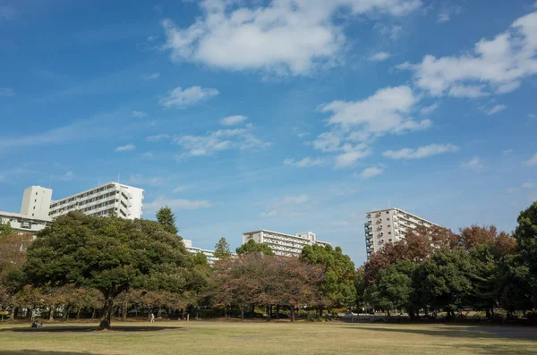 Tokyo Autunno Lascia Paesaggio — Foto Stock