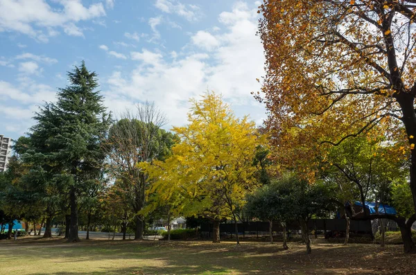 Tokio Hojas Otoño Paisaje — Foto de Stock