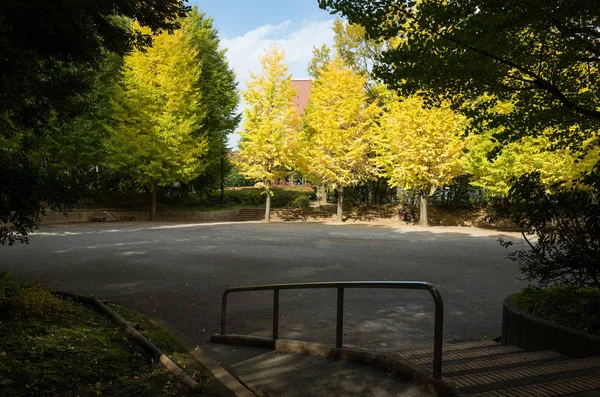 Tokio Hojas Otoño Paisaje — Foto de Stock