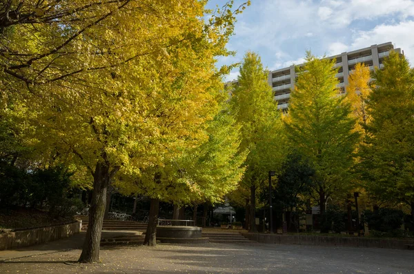 Tokyo Autumn Leaves Landscape — Stock Photo, Image