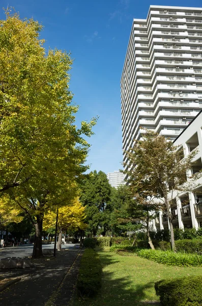 東京秋の紅葉風景 — ストック写真