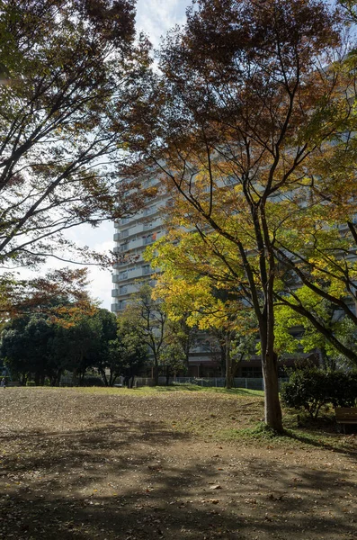 Tokyo Φθινόπωρο Φύλλα Τοπίο — Φωτογραφία Αρχείου
